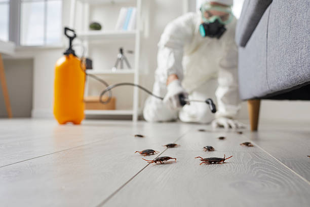 Post-Treatment Bed Bug Interceptor Monitoring in Newtown